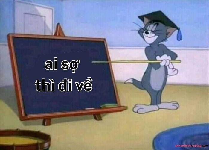 ai sợ thì đi về meme mèo